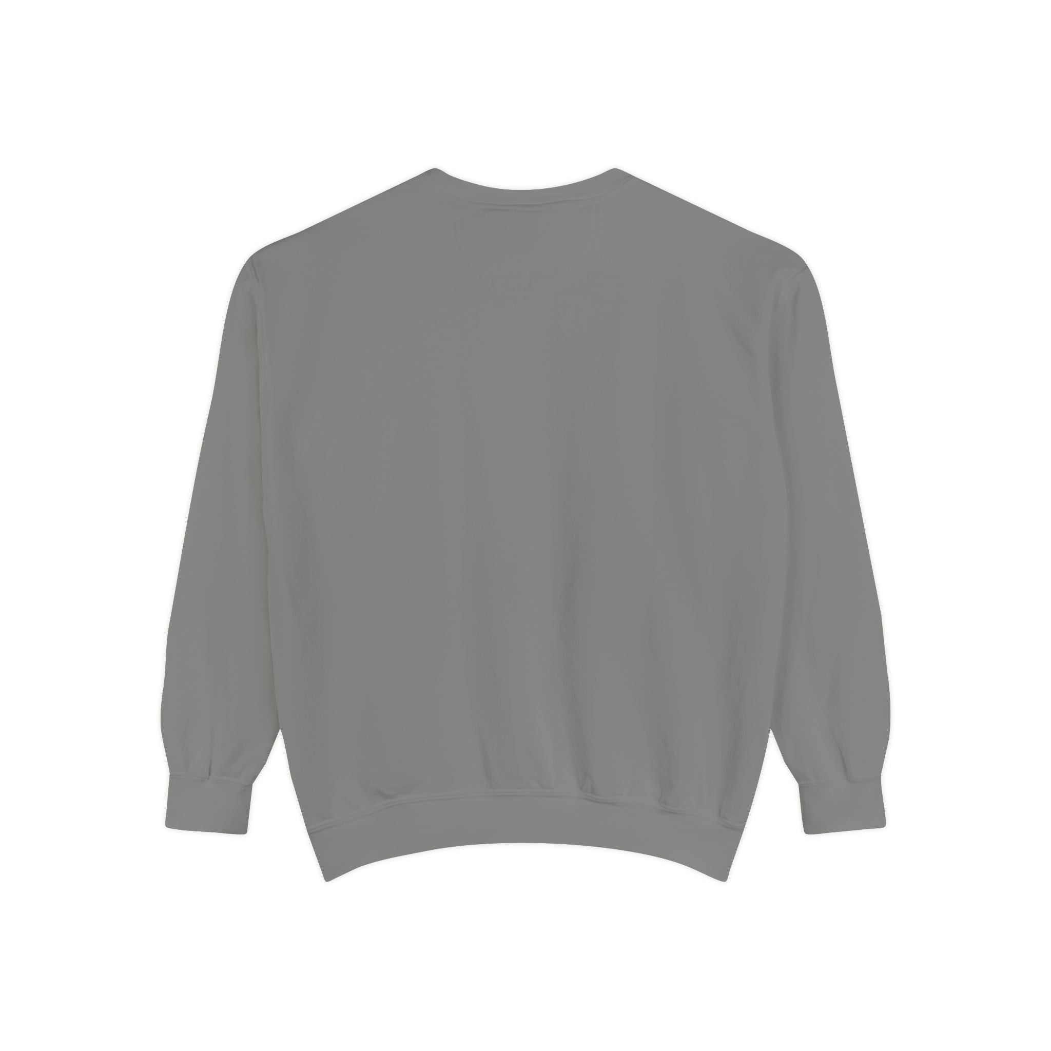 Sci-fi Sweatshirt 📸 (8300494258348)