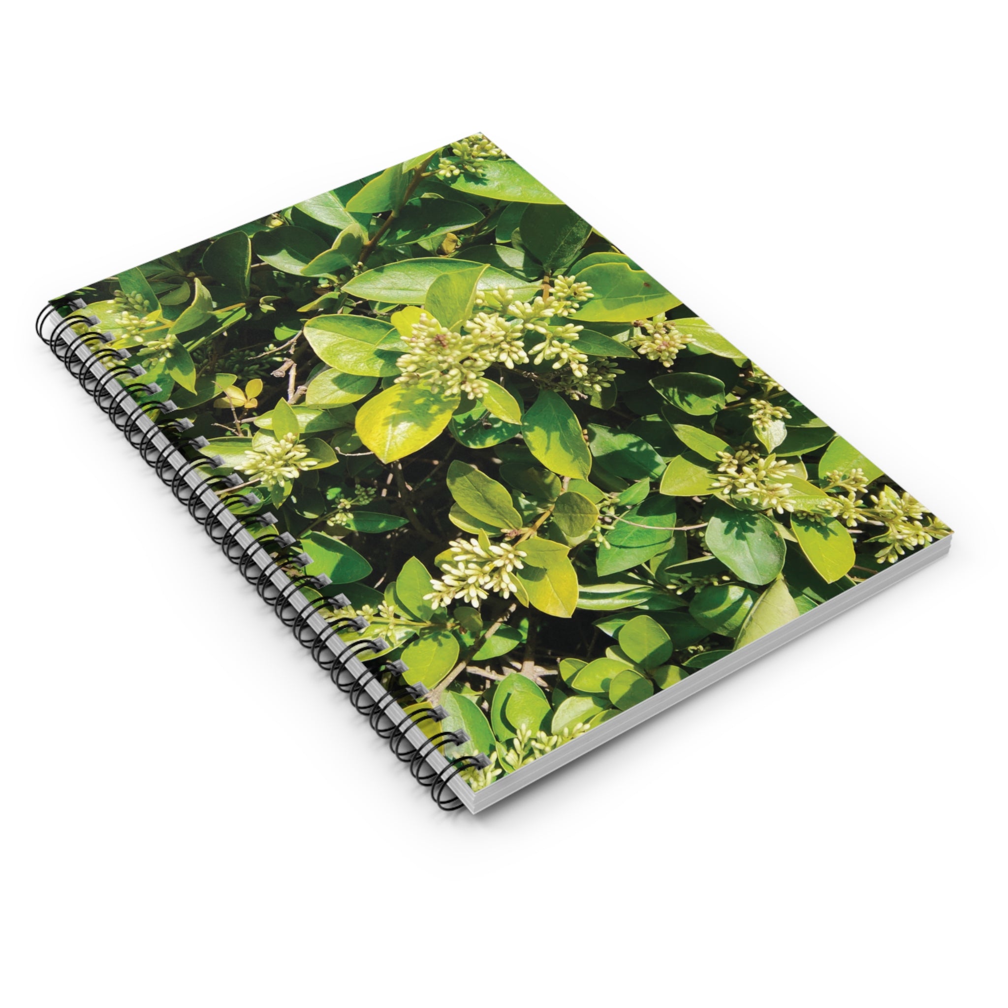 Spiral Notebook - Green Leafy Plant Ruled Line (8273240129708)