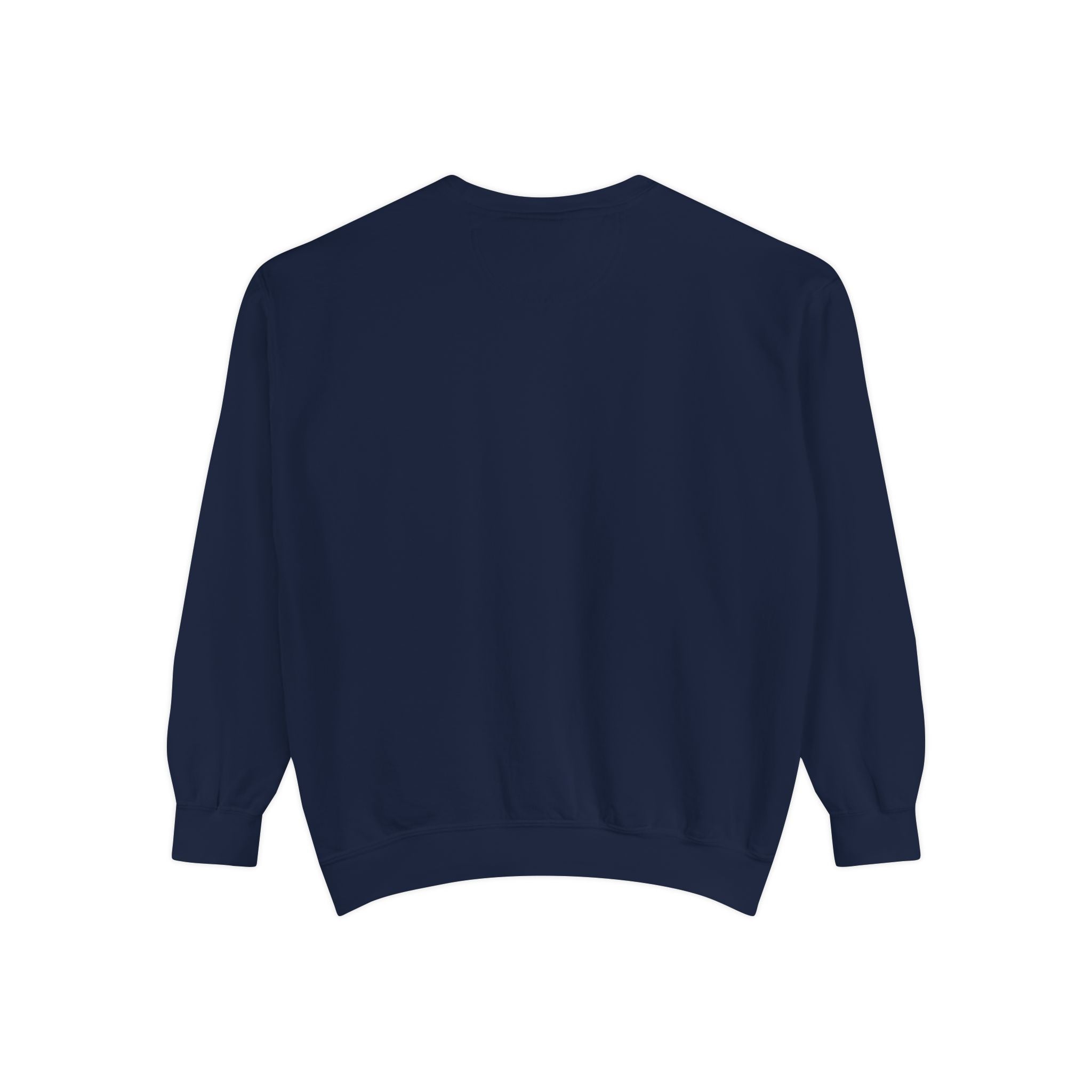 Sci-fi Sweatshirt 📸 (8300494258348)