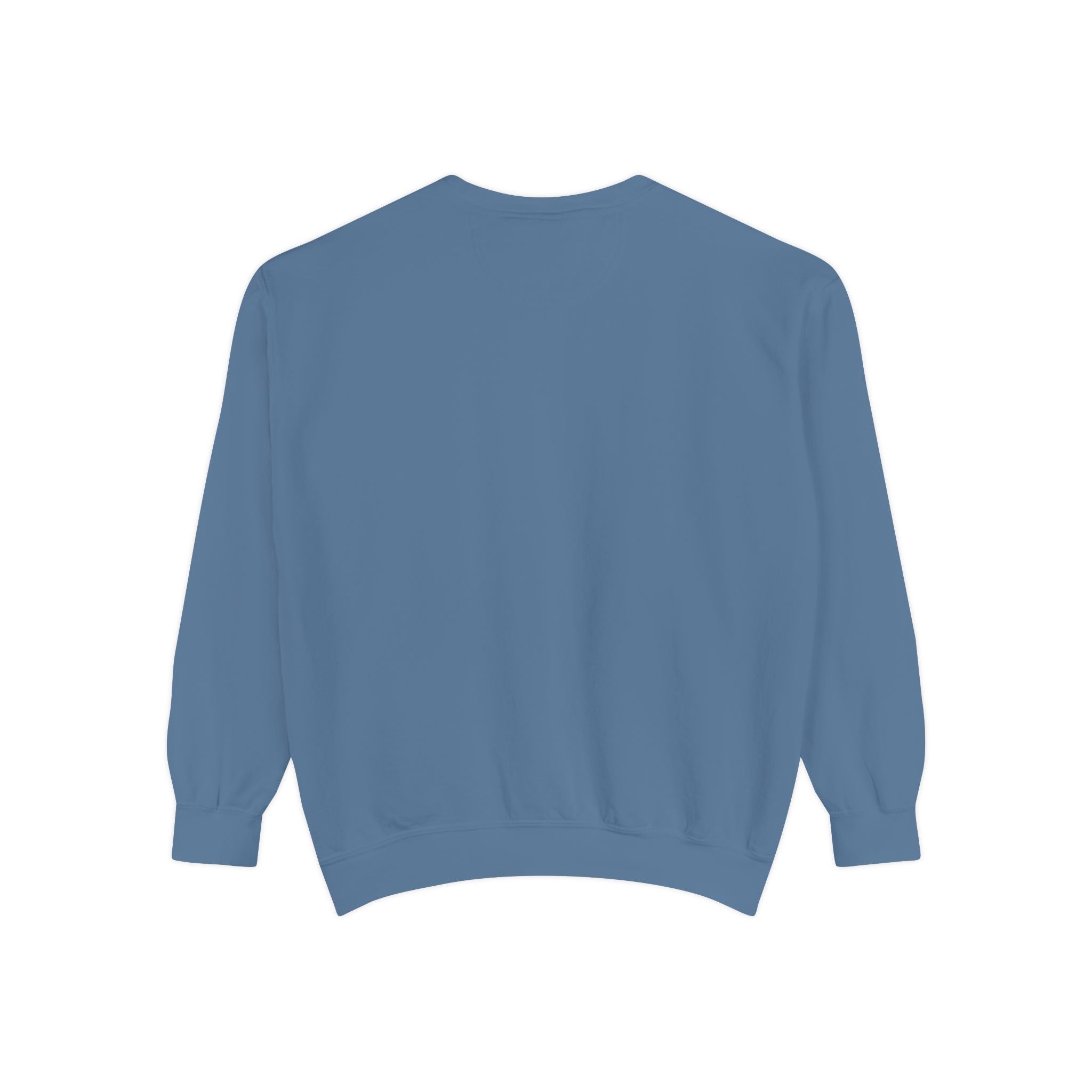 Sci-fi Sweatshirt 📸 (8300494258348)