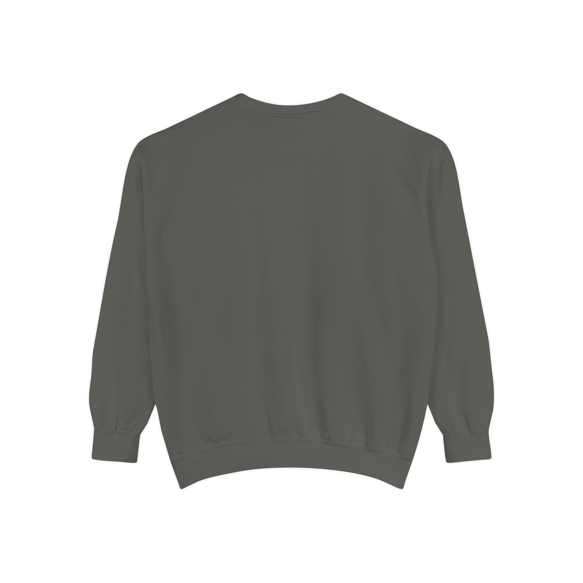 Sci-fi Sweatshirt 📸 (8300494258348)