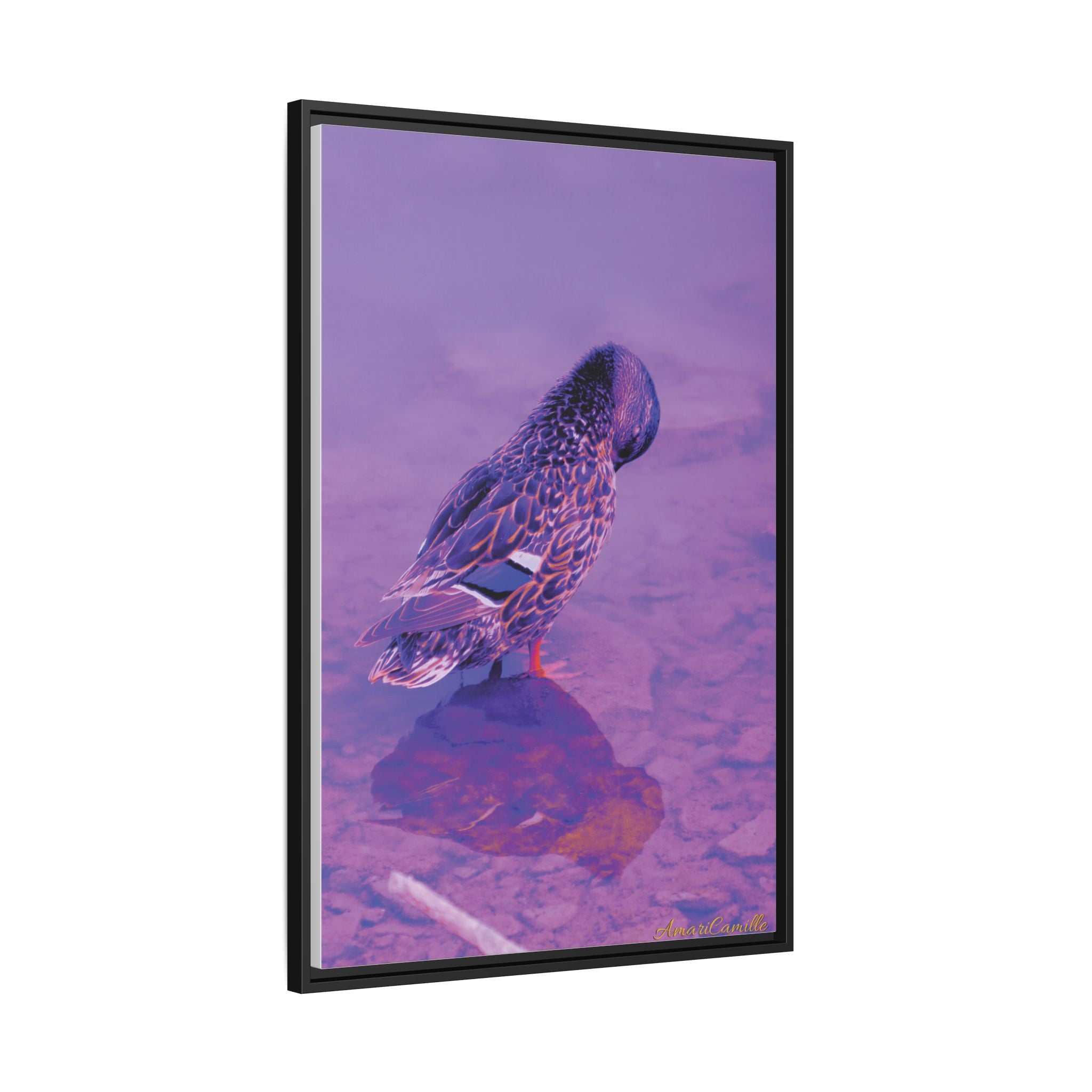 Photography by AmariCamille 🦆 (8349152510124)