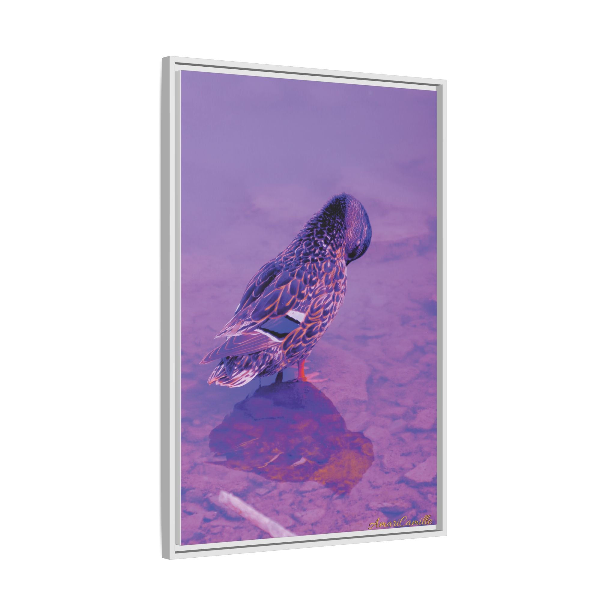 Photography by AmariCamille 🦆 (8349152510124)