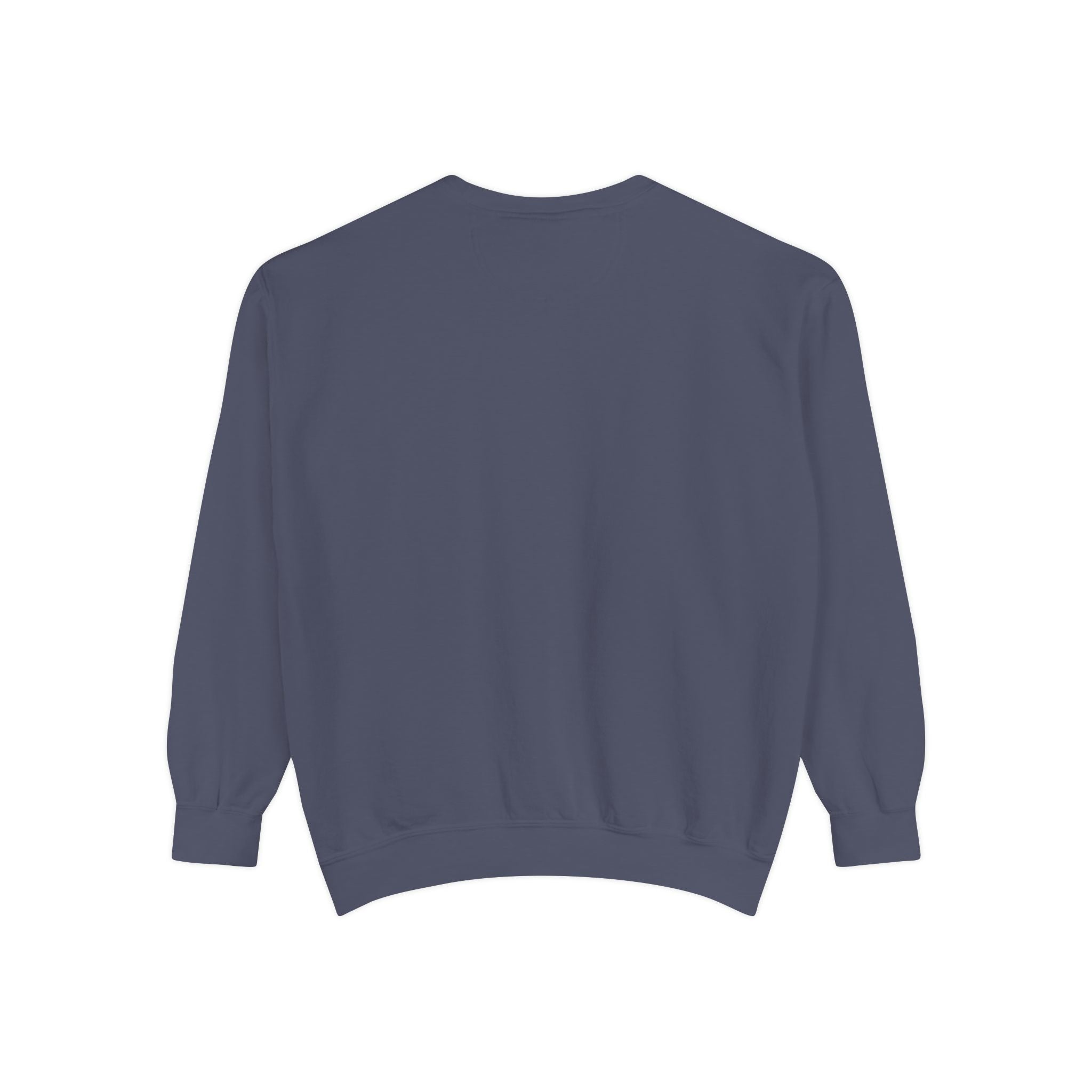 Sci-fi Sweatshirt 📸 (8300494258348)