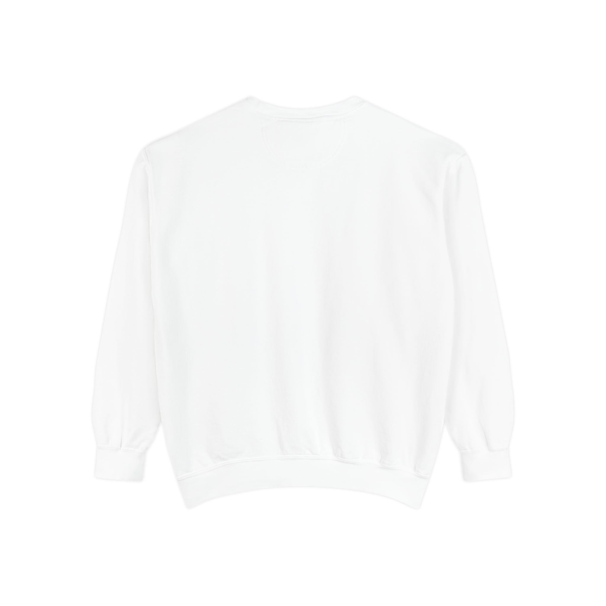 Sci-fi Sweatshirt 📸 (8300494258348)