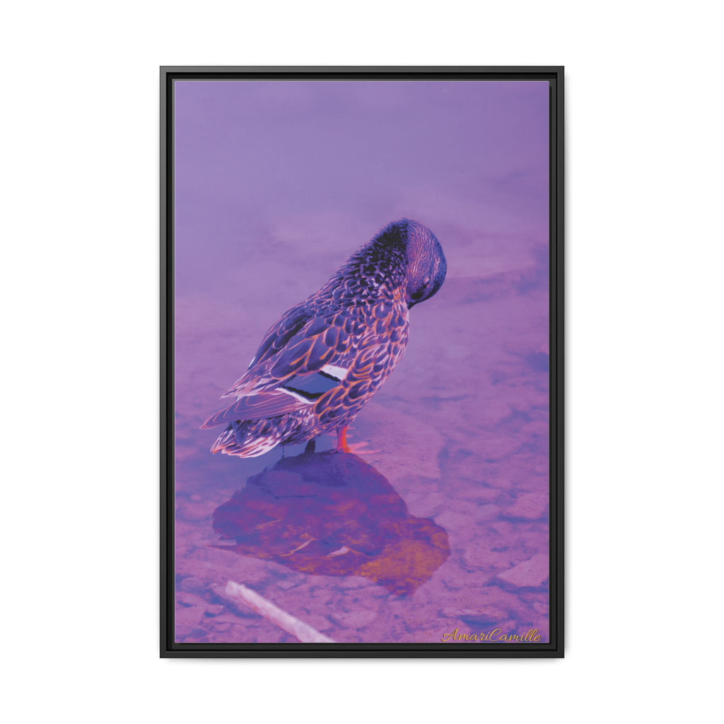 Photography by AmariCamille 🦆 (8349152510124)