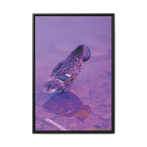 Photography by AmariCamille 🦆 (8349152510124)