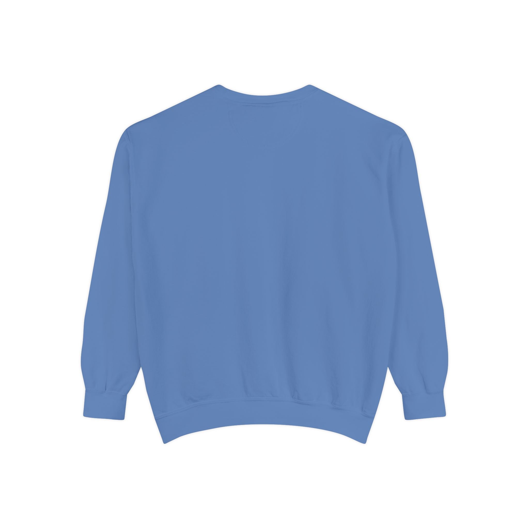 Sci-fi Sweatshirt 📸 (8300494258348)