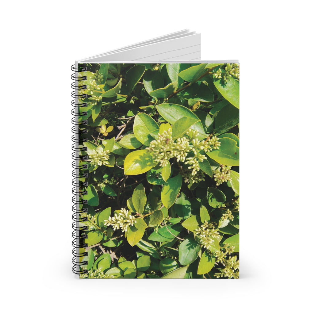 Spiral Notebook - Green Leafy Plant Ruled Line (8273240129708)