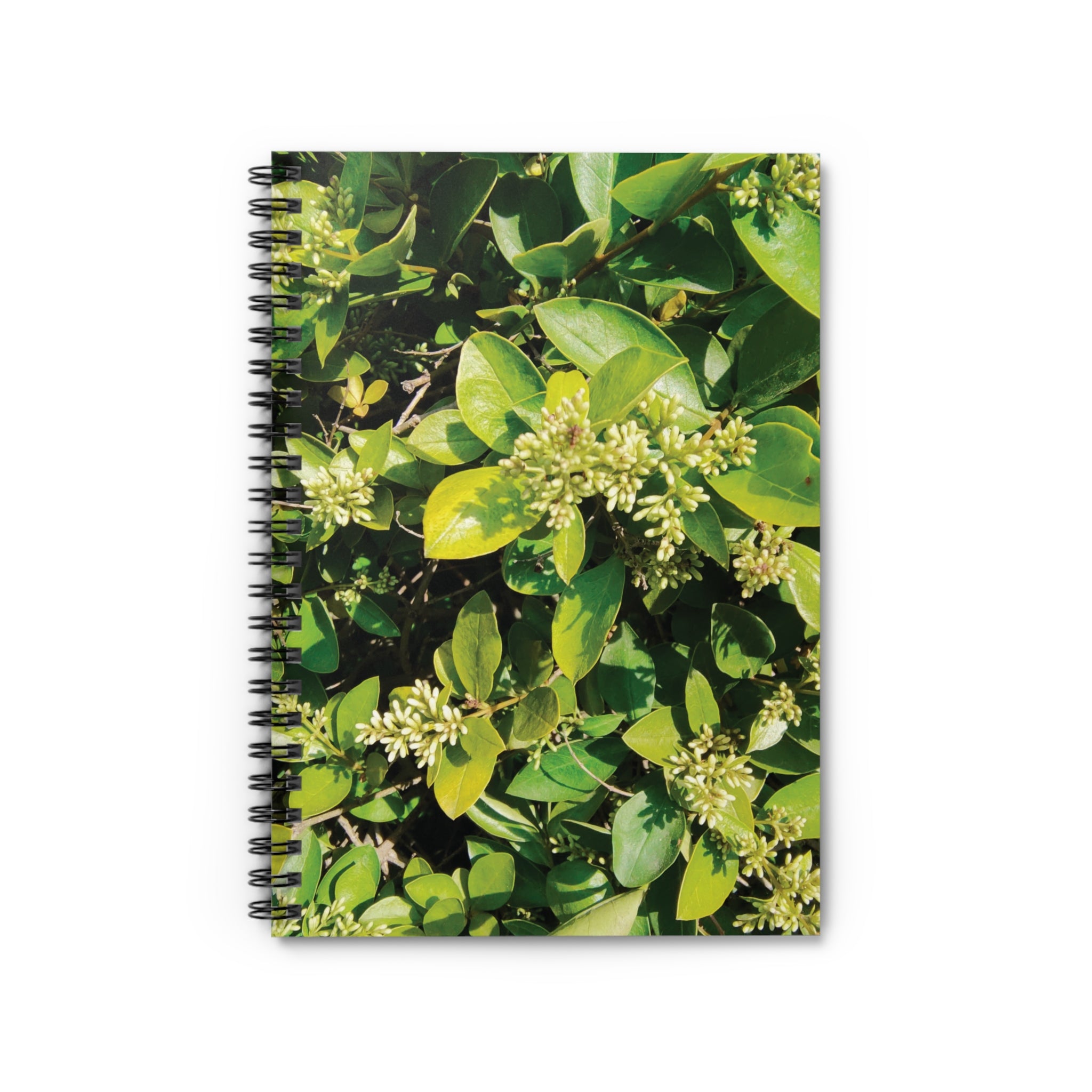 Spiral Notebook - Green Leafy Plant Ruled Line (8273240129708)