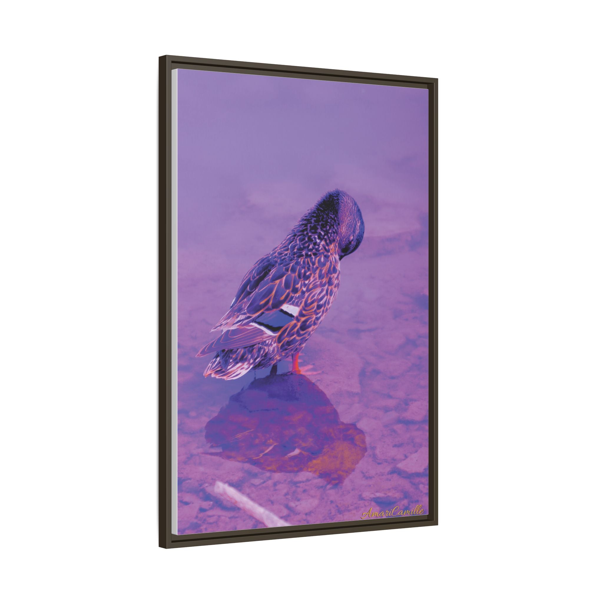 Photography by AmariCamille 🦆 (8349152510124)